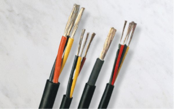 画像1: 2CT (1)
